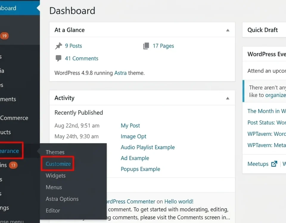 WordPress Dashboard UI showing the left navigation sidebar with "Appearance" highlighted in red and its submenu expanded, pointing to "Customize" outlined in red.